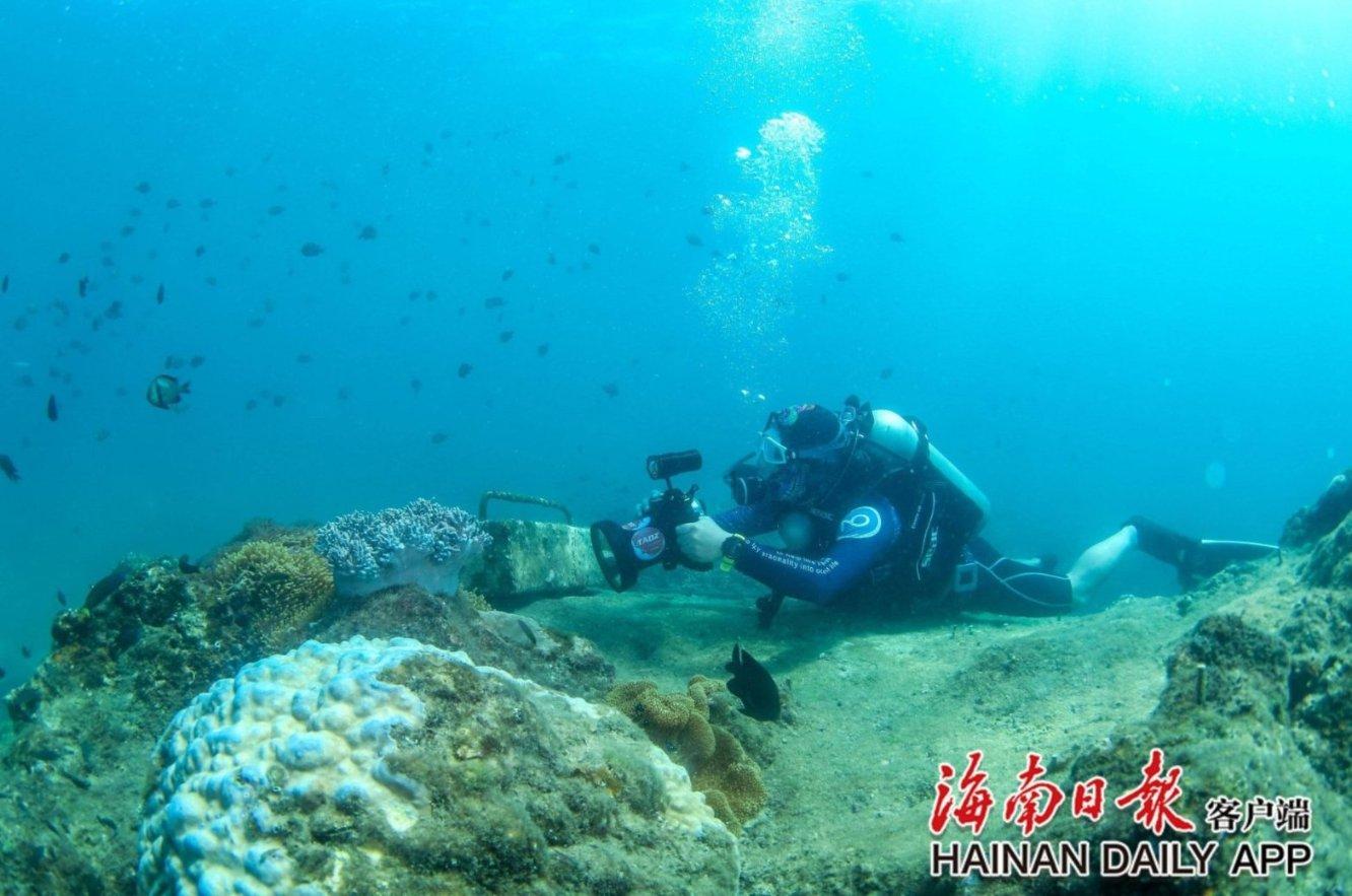 受困的忍者