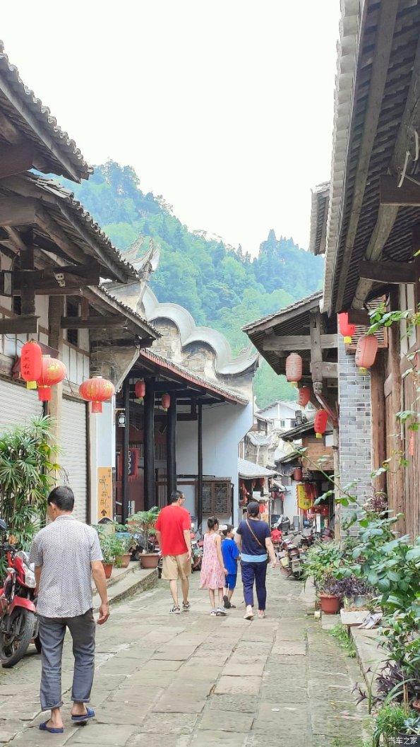 逃离废弃自然公园